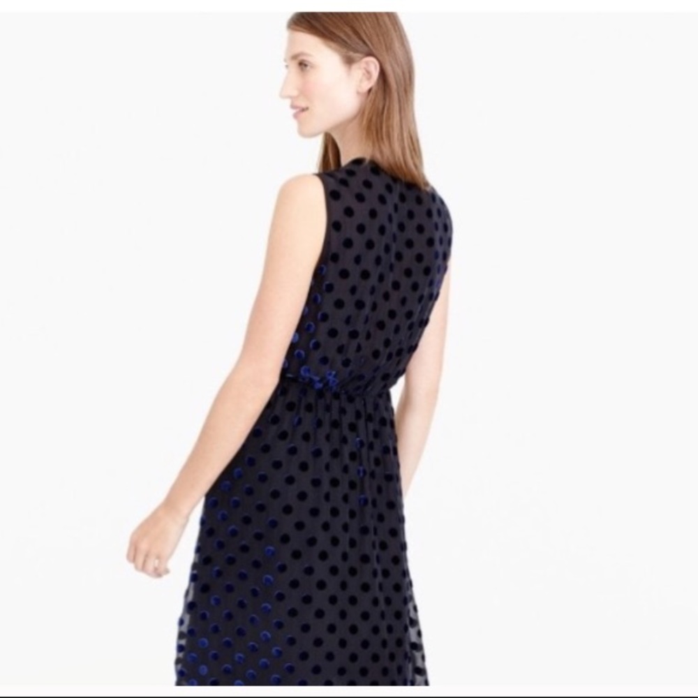 J. Crew Velvet Polka Dot Dress - Picture 3 of 4